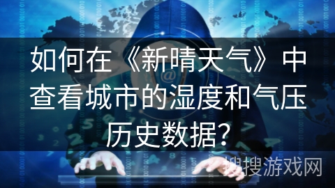 如何在《新晴天气》中查看城市的湿度和气压历史数据？