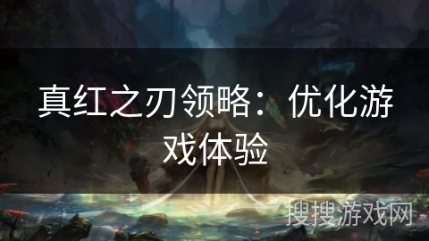 真红之刃领略：优化游戏体验