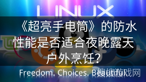 《超亮手电筒》的防水性能是否适合夜晚露天户外烹饪？