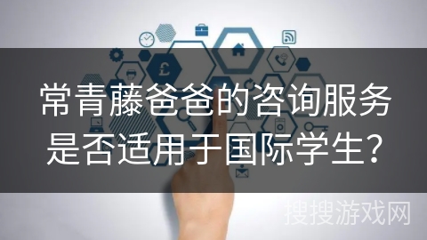 常青藤爸爸的咨询服务是否适用于国际学生？