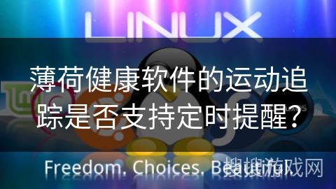 薄荷健康软件的运动追踪是否支持定时提醒？