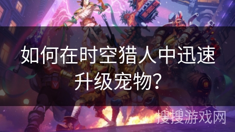 如何在时空猎人中迅速升级宠物？