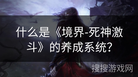 什么是《境界-死神激斗》的养成系统？