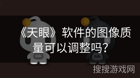 《天眼》软件的图像质量可以调整吗？