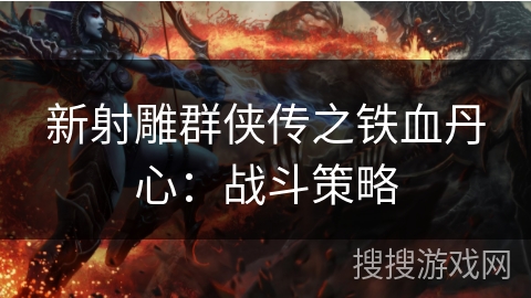 新射雕群侠传之铁血丹心：战斗策略