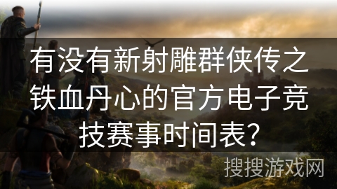 有没有新射雕群侠传之铁血丹心的官方电子竞技赛事时间表？