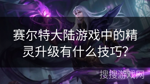 赛尔特大陆游戏中的精灵升级有什么技巧？