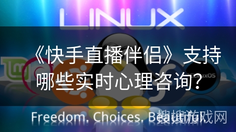 《快手直播伴侣》支持哪些实时心理咨询？