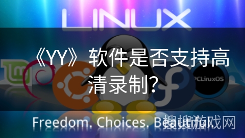 《YY》软件是否支持高清录制？