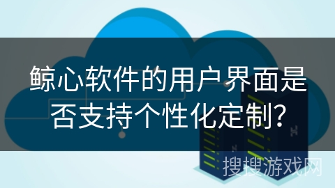 鲸心软件的用户界面是否支持个性化定制? 鲸心软件的用户界面是否支持个性化定制?