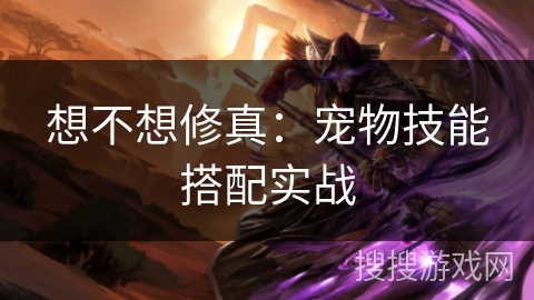 想不想修真：宠物技能搭配实战