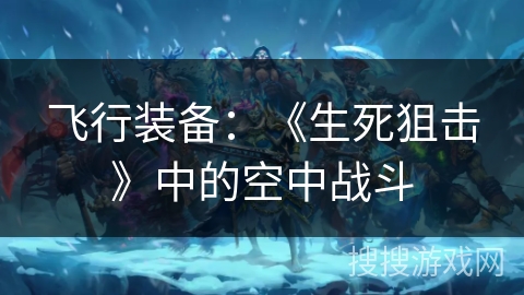 飞行装备：《生死狙击》中的空中战斗