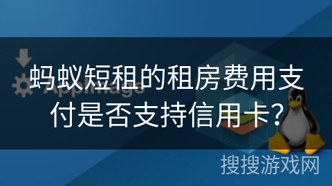 蚂蚁短租的租房费用支付是否支持信用卡？
