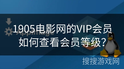 1905电影网的VIP会员如何查看会员等级? 1905电影网的VIP会员如何查看会员等级?