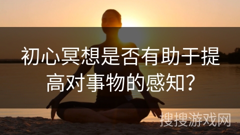 初心冥想是否有助于提高对事物的感知?