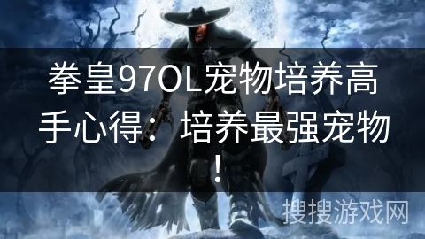 拳皇97OL宠物培养高手心得：培养最强宠物！