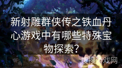 新射雕群侠传之铁血丹心游戏中有哪些特殊宝物探索？