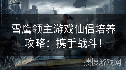 雪鹰领主游戏仙侣培养攻略：携手战斗！