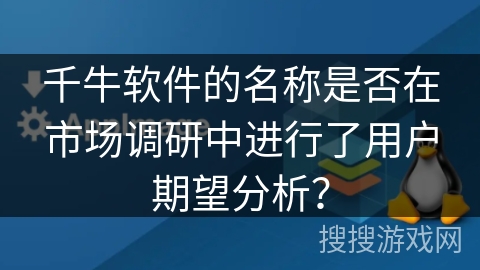 千牛软件的名称是否在市场调研中进行了用户期望分析？
