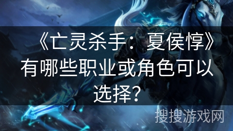 《亡灵杀手：夏侯惇》有哪些职业或角色可以选择？
