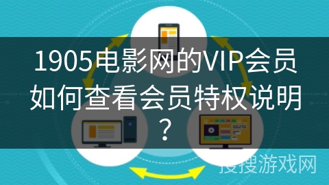 1905电影网的VIP会员如何查看会员特权说明？