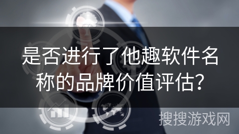是否进行了他趣软件名称的品牌价值评估？