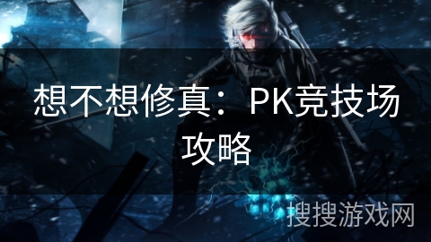 想不想修真：PK竞技场攻略