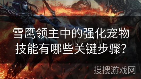 雪鹰领主中的强化宠物技能有哪些关键步骤？