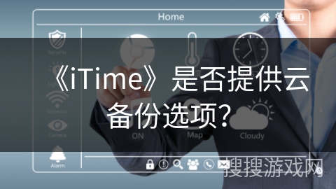 《iTime》是否提供云备份选项？