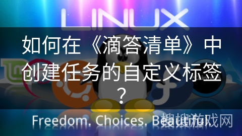 如何在《滴答清单》中创建任务的自定义标签？