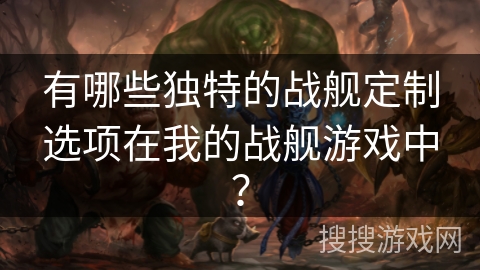 有哪些独特的战舰定制选项在我的战舰游戏中？