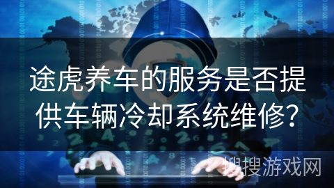 途虎养车的服务是否提供车辆冷却系统维修？