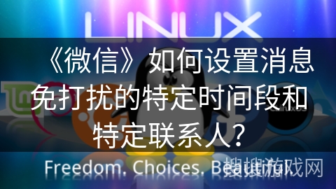 《微信》如何设置消息免打扰的特定时间段和特定联系人？