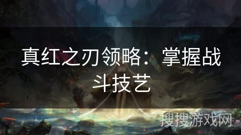 真红之刃领略：掌握战斗技艺