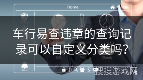 车行易查违章的查询记录可以自定义分类吗？