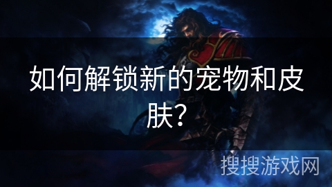 如何解锁新的宠物和皮肤？