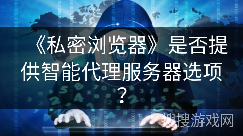 《私密浏览器》是否提供智能代理服务器选项？