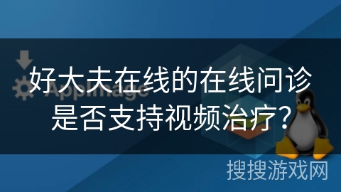 好大夫在线的在线问诊是否支持视频治疗？