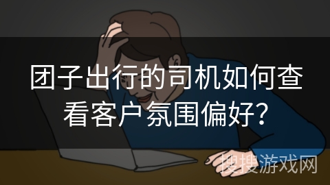 团子出行的司机如何查看客户氛围偏好？