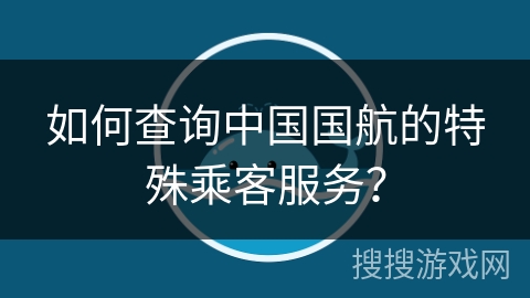 如何查询中国国航的特殊乘客服务？