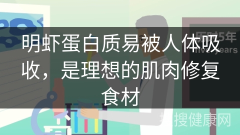 明虾蛋白质易被人体吸收，是理想的肌肉修复食材