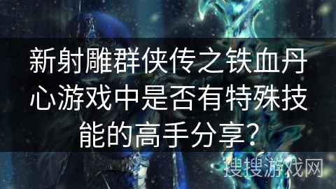 新射雕群侠传之铁血丹心游戏中是否有特殊技能的高手分享？
