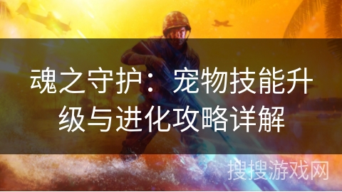 魂之守护：宠物技能升级与进化攻略详解