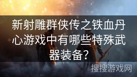 新射雕群侠传之铁血丹心游戏中有哪些特殊武器装备？