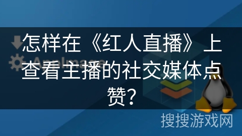 怎样在《红人直播》上查看主播的社交媒体点赞？