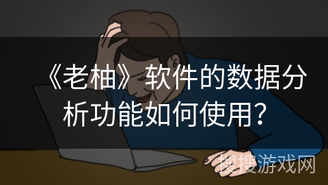《老柚》软件的数据分析功能如何使用？