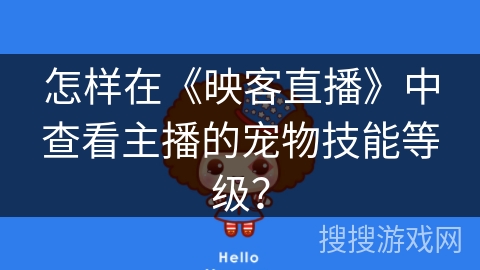 怎样在《映客直播》中查看主播的宠物技能等级？