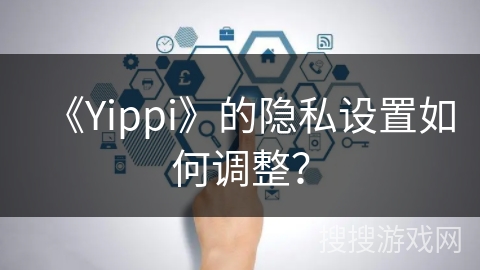 《Yippi》的隐私设置如何调整？