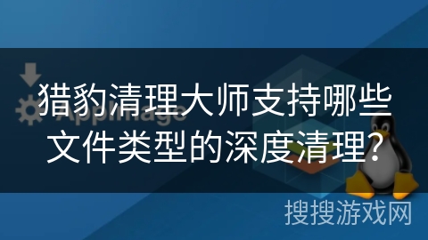 猎豹清理大师支持哪些文件类型的深度清理？