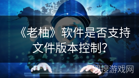 《老柚》软件是否支持文件版本控制？
